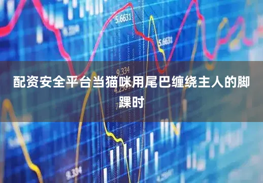 配资安全平台当猫咪用尾巴缠绕主人的脚踝时