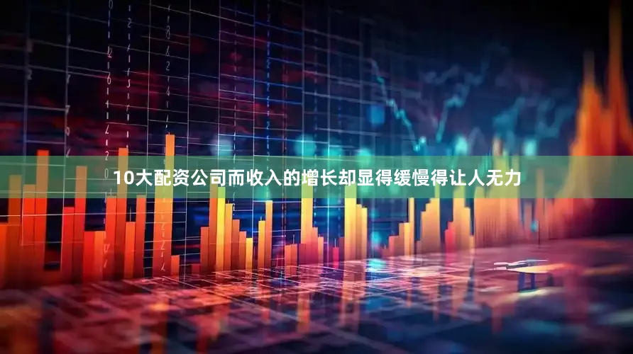 10大配资公司而收入的增长却显得缓慢得让人无力